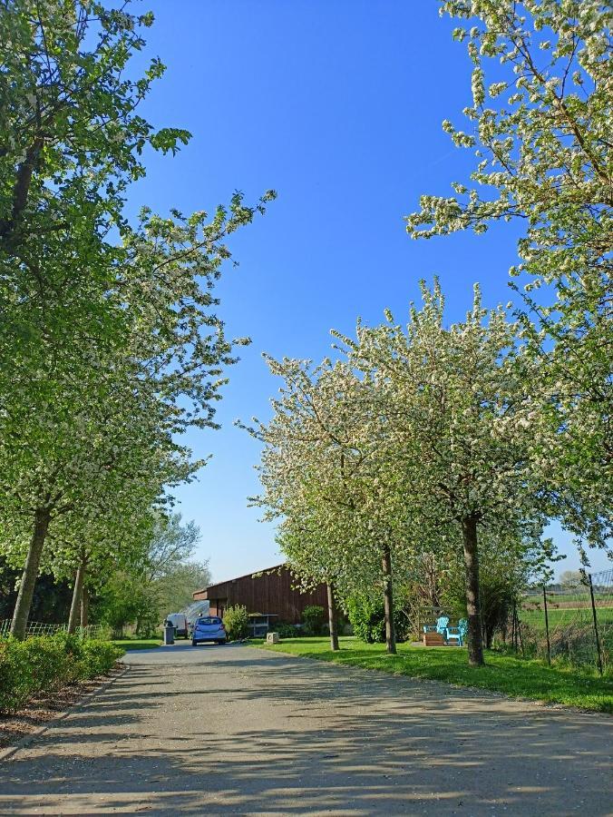 Les Chambres D'Hotes Du Vert Galant " L'Allee Des Champs" Verlinghem Bagian luar foto
