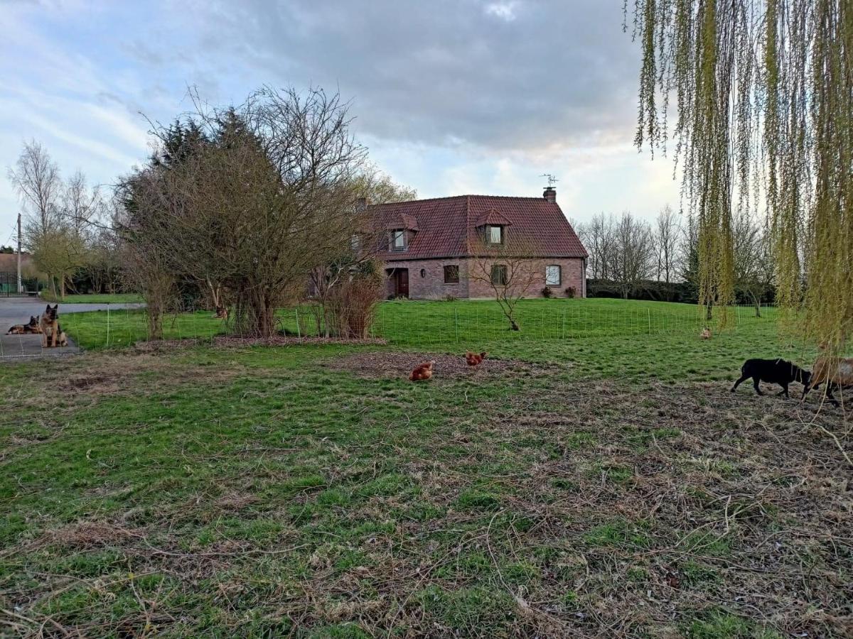 Les Chambres D'Hotes Du Vert Galant " L'Allee Des Champs" Verlinghem Bagian luar foto