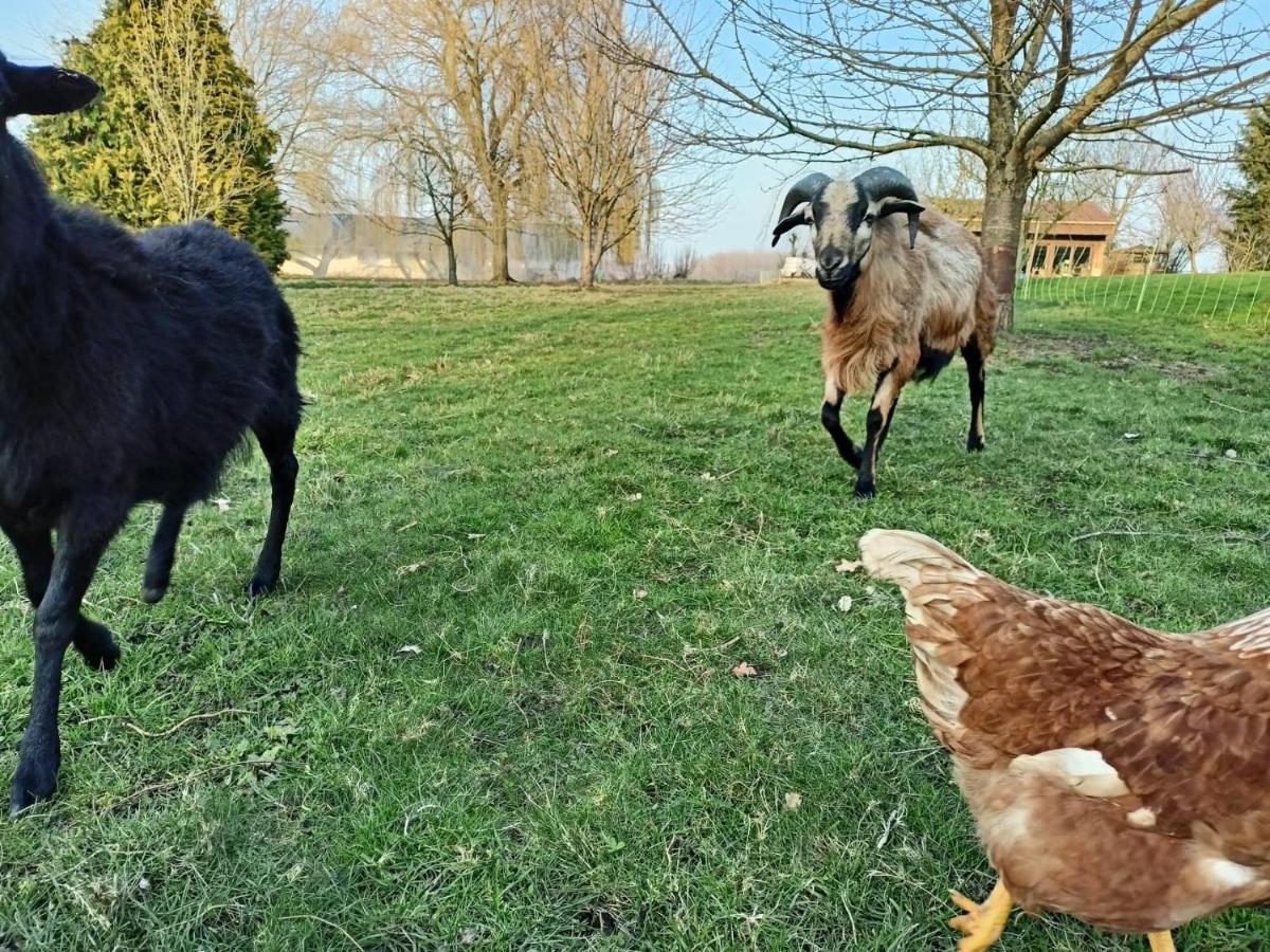 Les Chambres D'Hotes Du Vert Galant " L'Allee Des Champs" Verlinghem Bagian luar foto